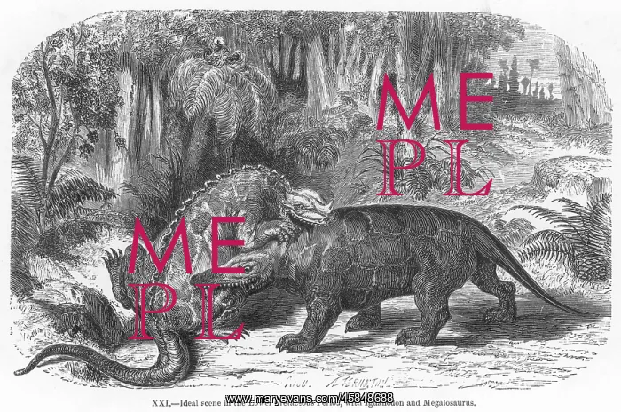  : DINOSAUR / IGUANODON
