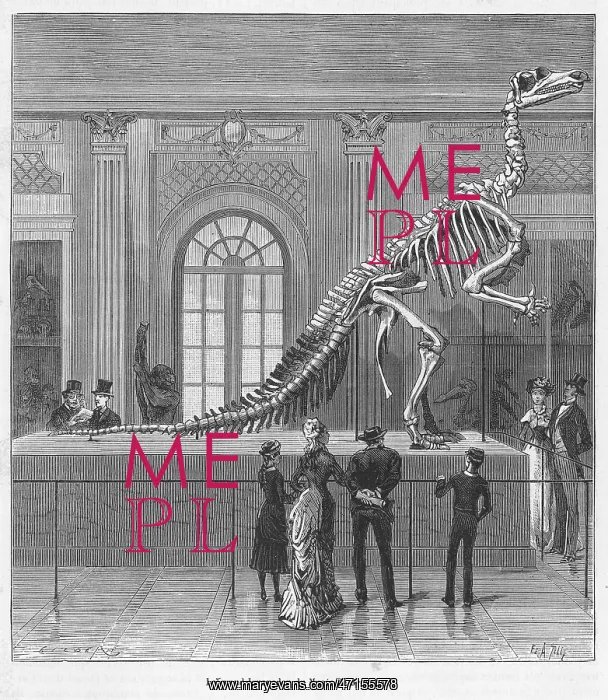 : DINOSAUR / IGUANODON : DINOSAUR / IGUANODON