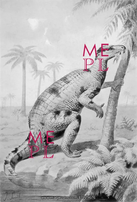  : DINOSAUR / IGUANODON