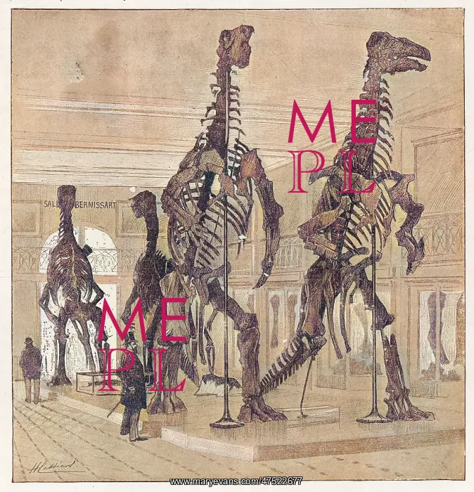 : DINOSAUR / IGUANODON : DINOSAUR / IGUANODON