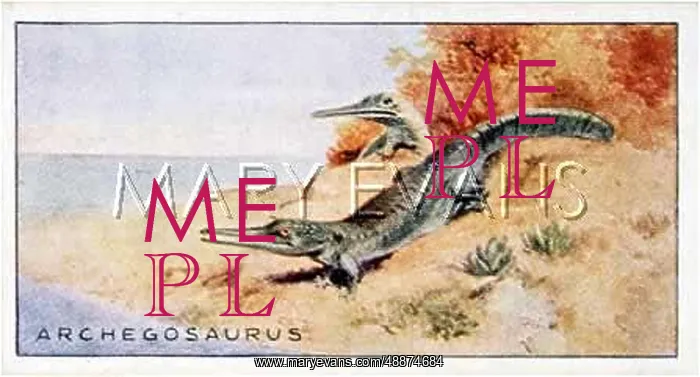 : DINOSAUR / MESOSAURUS : DINOSAUR / MESOSAURUS