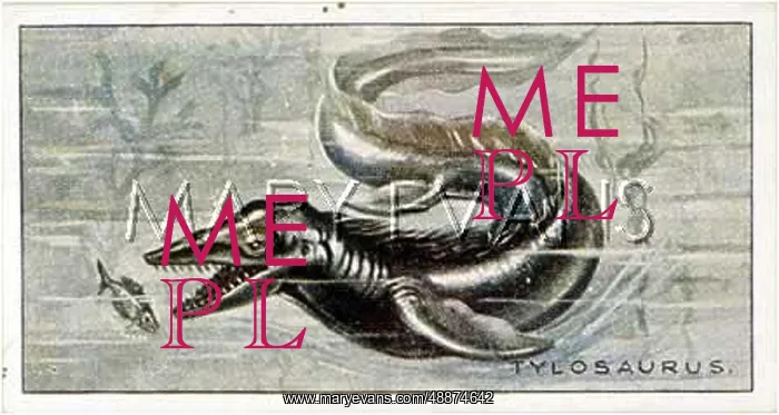  : DINOSAUR / PLIOSAUR