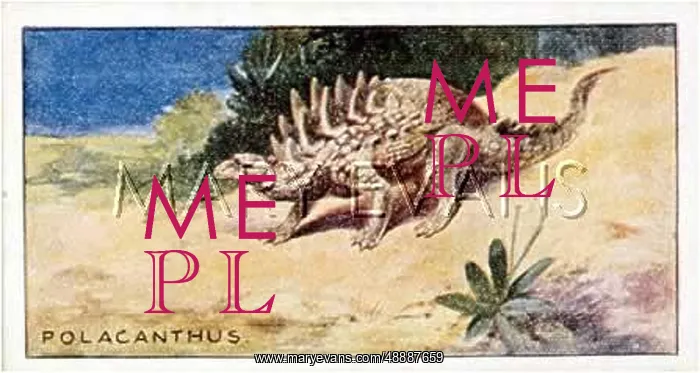  : DINOSAUR / POLACANTHUS