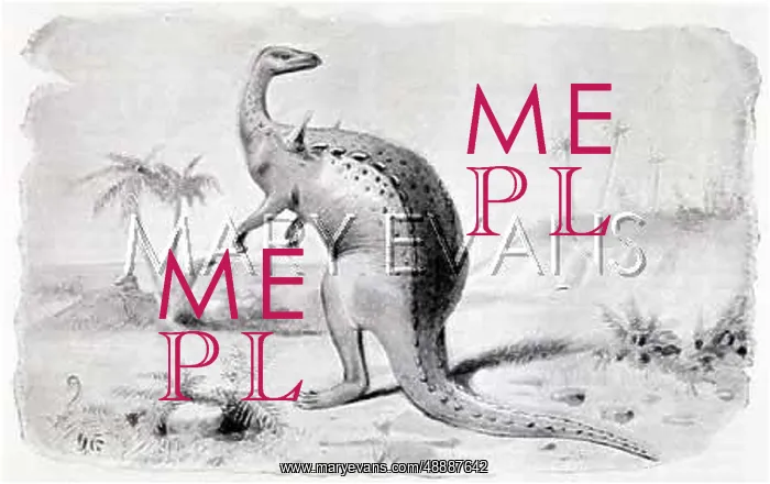  : DINOSAUR / SCELIDOSAURUS
