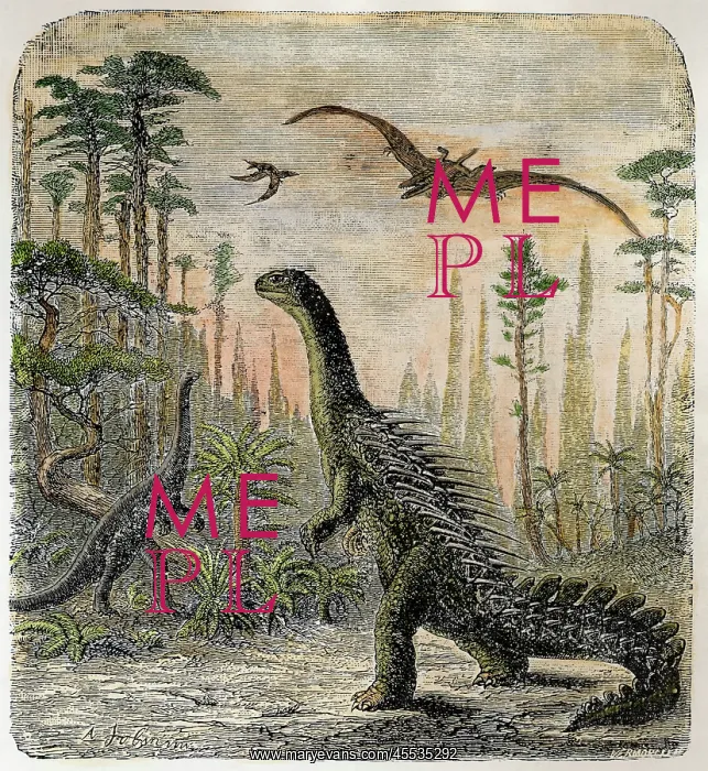 : Dinosaur - Stegosaurus : Dinosaur - Stegosaurus
