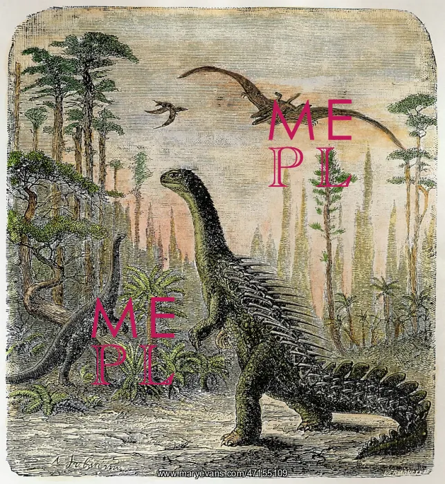 : Dinosaur - Stegosaurus : Dinosaur - Stegosaurus