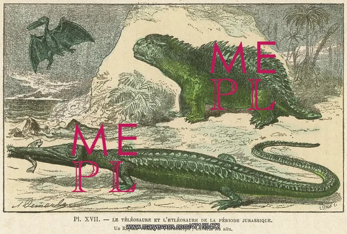 : DINOSAUR / TELEOSAURUS : DINOSAUR / TELEOSAURUS