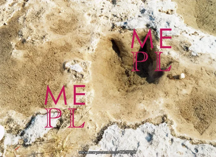  : DINOSAUR TRACKS / TEXAS