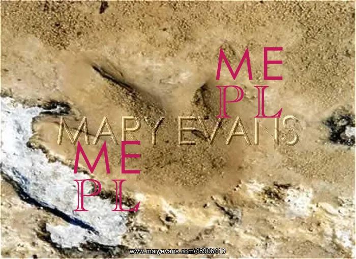  : DINOSAUR TRACKS / TEXAS