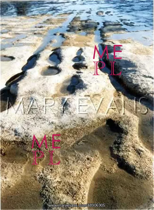  : DINOSAUR TRACKS / TEXAS