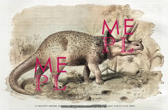  : DINOSAUR / TRICERATOPS