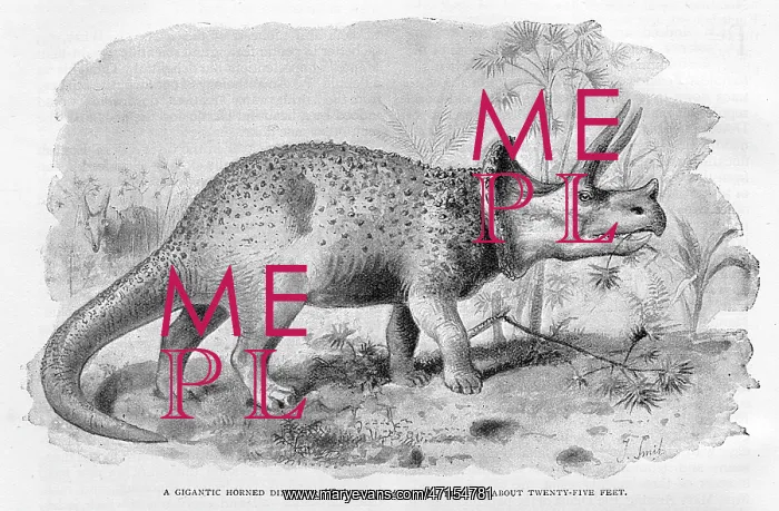  : DINOSAUR / TRICERATOPS