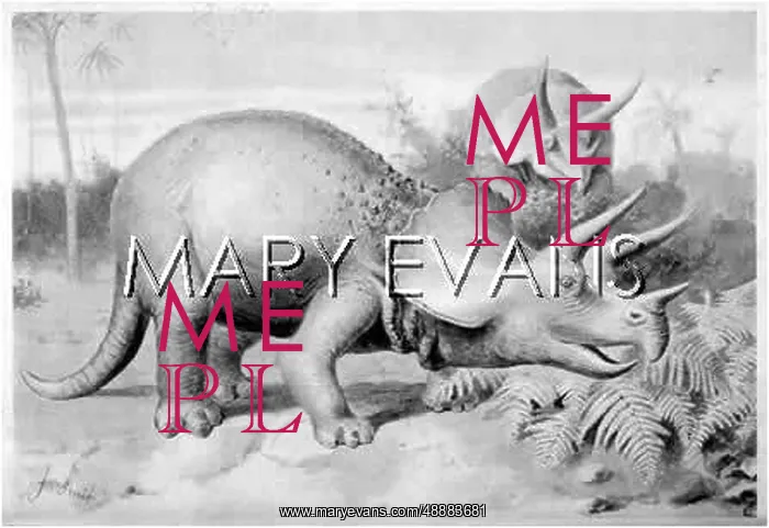 : DINOSAUR / TRICERATOPS : DINOSAUR / TRICERATOPS