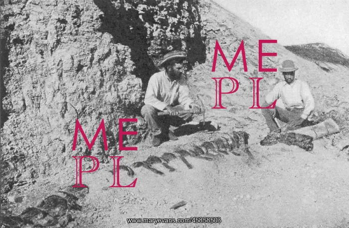 : DINOSAUR / TYLOSAURUS : DINOSAUR / TYLOSAURUS