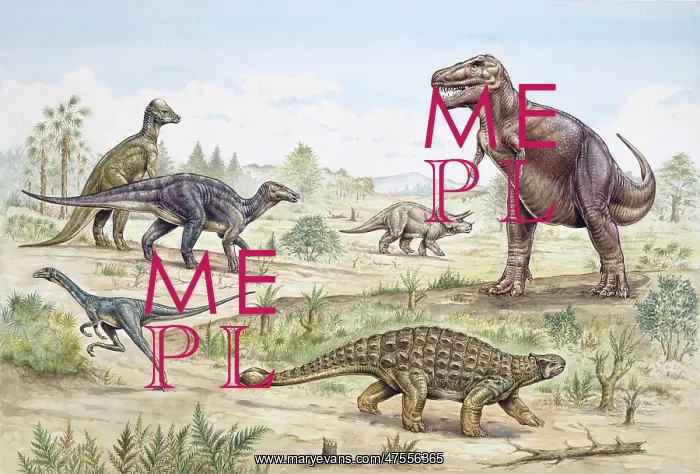 : Dinosaurs discovered in western USA : Dinosaurs discovered in western USA
