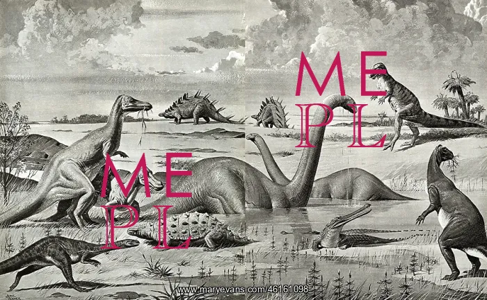 : Dinosaurs of the Mesozoic Era - China : Dinosaurs of the Mesozoic Era - China