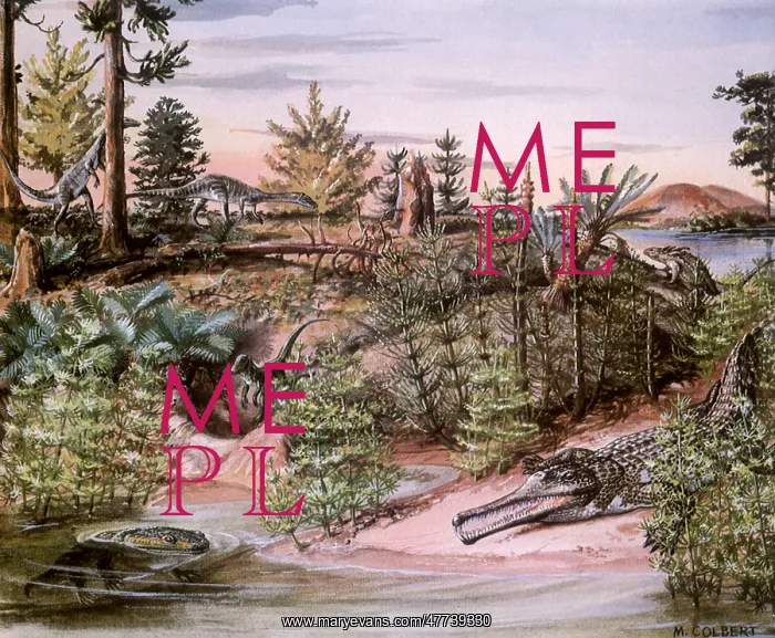 : Dinosaurs in a Swamp : Dinosaurs in a Swamp