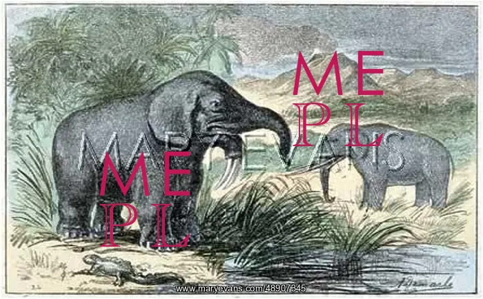 : DINOTHERIUM / MASTODONT : DINOTHERIUM / MASTODONT