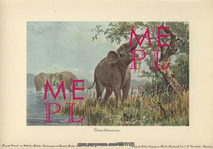 : Dinotherium, prehistoric relative to the elephant : Dinotherium, prehistoric relative to the elephant