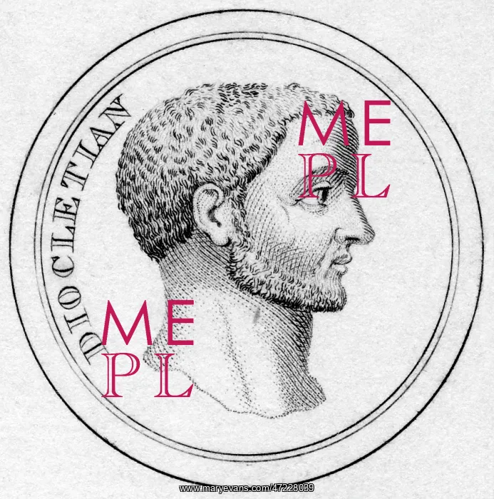 : DIOCLETIANUS (HEAD) : DIOCLETIANUS (HEAD)