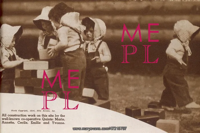 : DIONNE QUINTUPLETS / BRICK : DIONNE QUINTUPLETS / BRICK