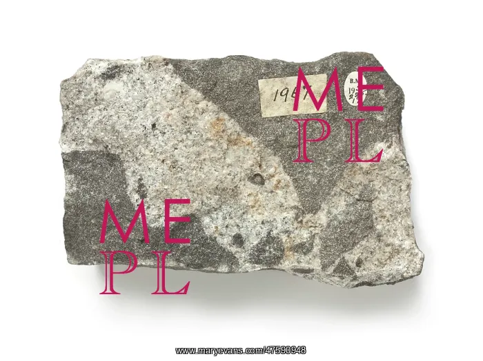 : Diorite intruded by microgranite : Diorite intruded by microgranite