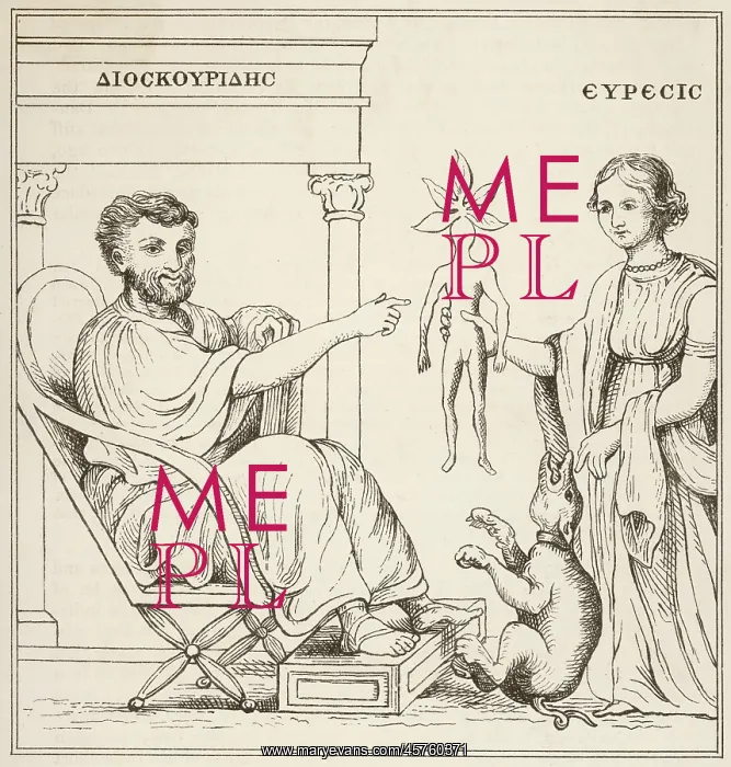 : Dioscorides receives a mandrake root from Euresis : Dioscorides receives a mandrake root from Euresis