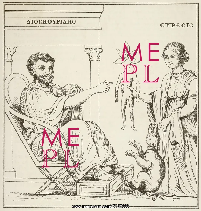 : Dioscorides receives a mandrake root from Euresis : Dioscorides receives a mandrake root from Euresis