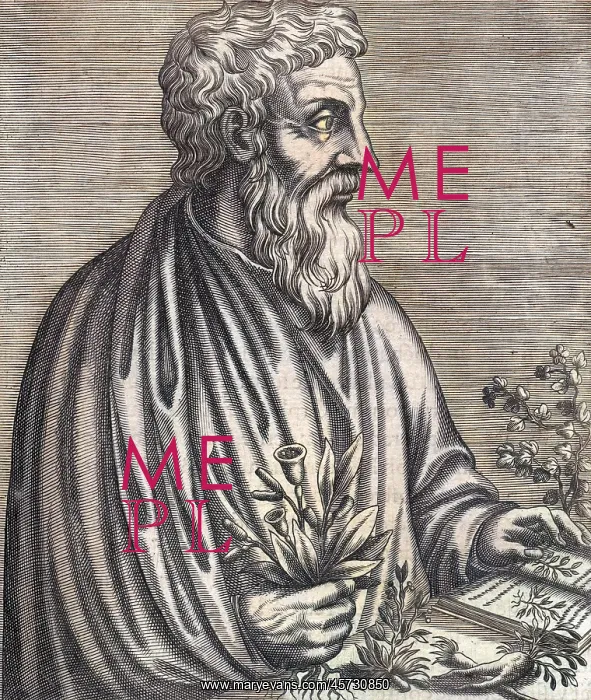 : DIOSCORIDES (THEVET) : DIOSCORIDES (THEVET)