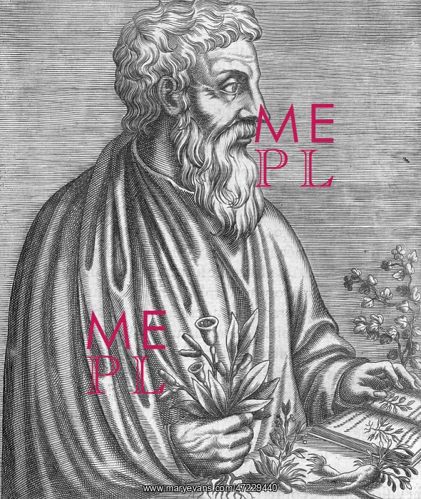 : DIOSCORIDES (THEVET) : DIOSCORIDES (THEVET)