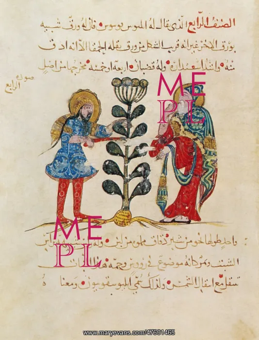 : Dioscorides's De Materia Medica : Dioscorides's De Materia Medica
