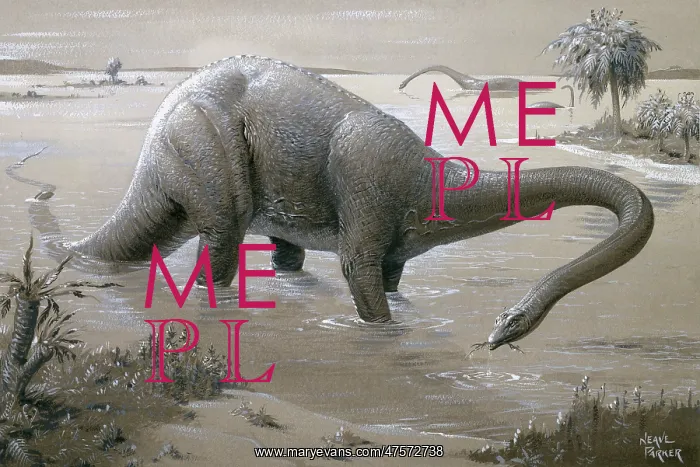 : Diplodocus : Diplodocus