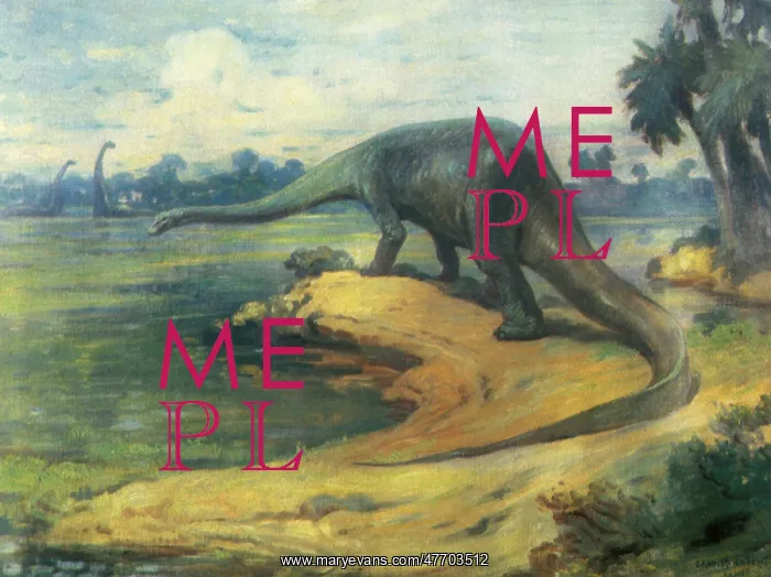 : Diplodocus : Diplodocus