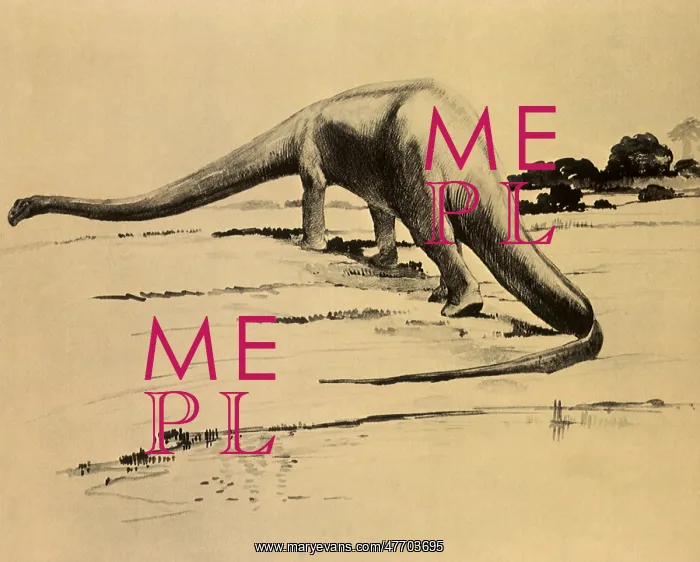 : Diplodocus : Diplodocus