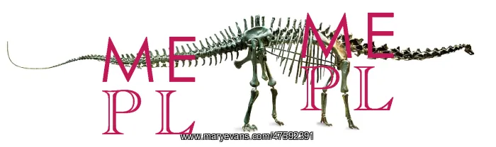 : Diplodocus carnegiei : Diplodocus carnegiei
