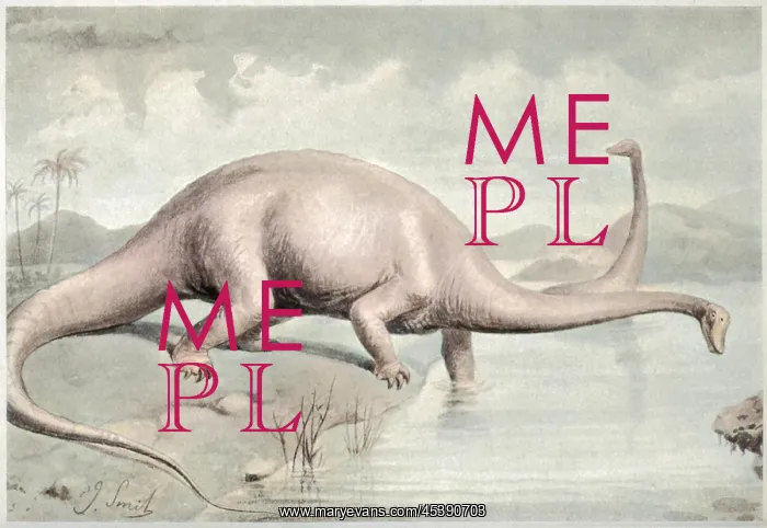 : DIPLODOCUS CARNEGII : DIPLODOCUS CARNEGII