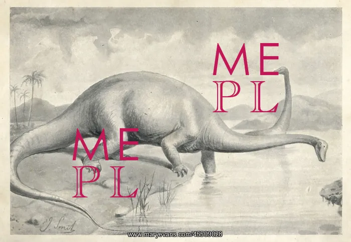 : Diplodocus carnegii : Diplodocus carnegii