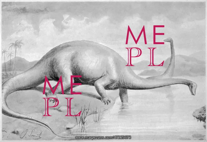 : DIPLODOCUS CARNEGII : DIPLODOCUS CARNEGII