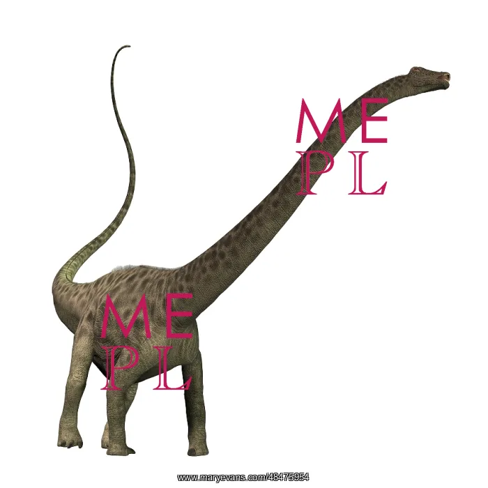 : Diplodocus dinosaur : Diplodocus dinosaur