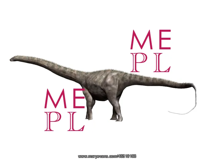 : Diplodocus dinosaur : Diplodocus dinosaur