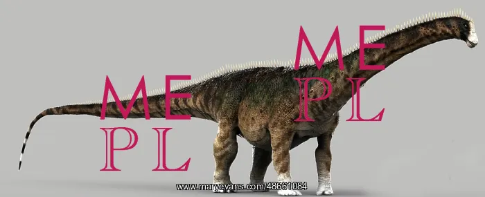 : Diplodocus dinosaur, side view on gray background : Diplodocus dinosaur, side view on gray background