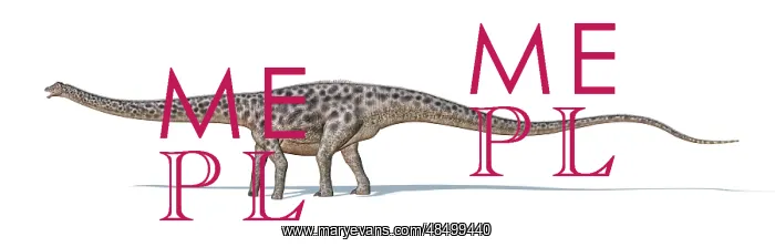 : Diplodocus dinosaur on white background : Diplodocus dinosaur on white background