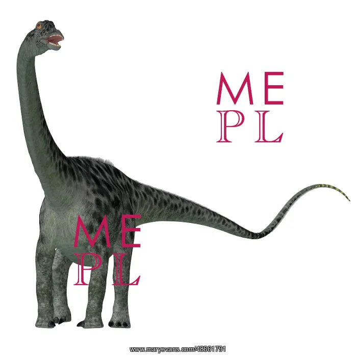 : Diplodocus dinosaur, white background : Diplodocus dinosaur, white background