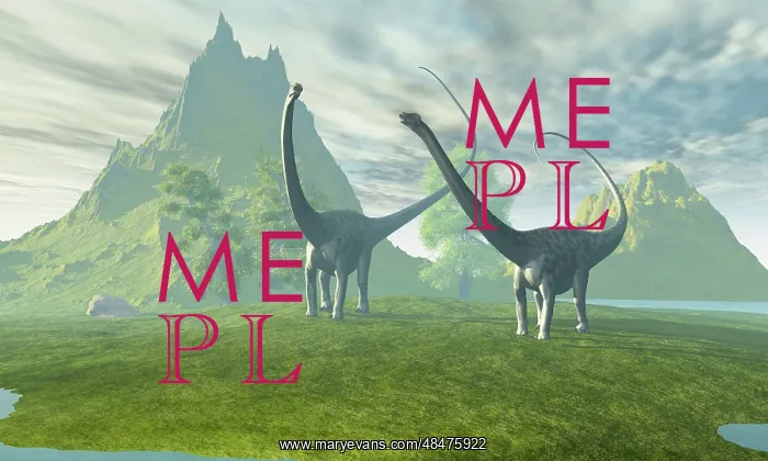: Diplodocus dinosaurs walk together in the afternoon in the ? : Diplodocus dinosaurs walk together in the afternoon in the ?