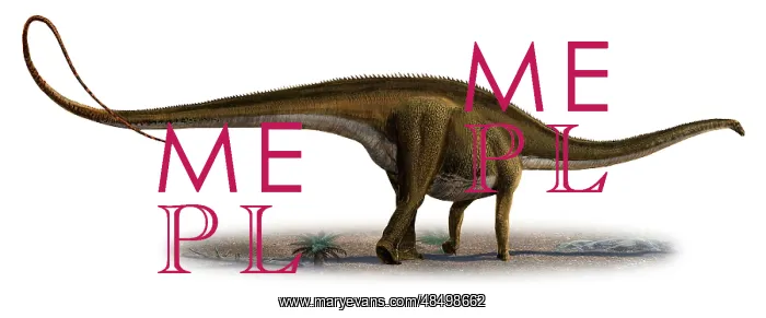 : Diplodocus longus, a prehistoric era dinosaur : Diplodocus longus, a prehistoric era dinosaur