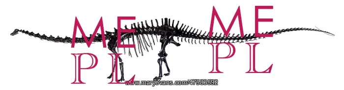 : Diplodocus skeleton : Diplodocus skeleton