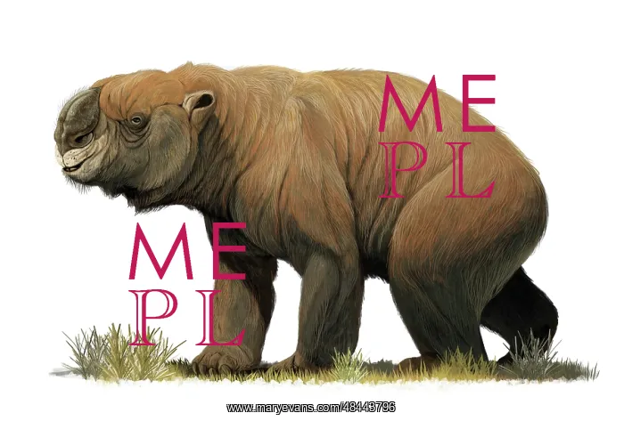 : Diprotodon optatum, the largest known marsupial : Diprotodon optatum, the largest known marsupial