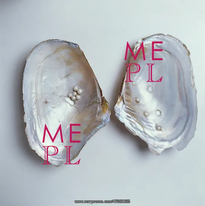 : Dipsas sp. Plate 10, a holotype from Arhtur MacGregor's Hans Sloane, 1994 : Dipsas sp. Plate 10, a holotype from Arhtur MacGregor's Hans Sloane, 1994