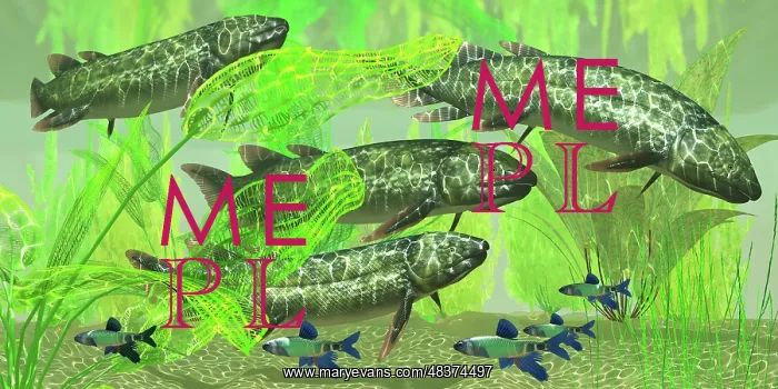 : Dipterus is an extinct freshwater lungfish from the ? : Dipterus is an extinct freshwater lungfish from the ?