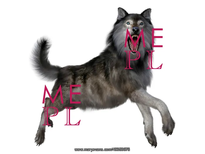 : Dire wolf leaping, side view on white background : Dire wolf leaping, side view on white background